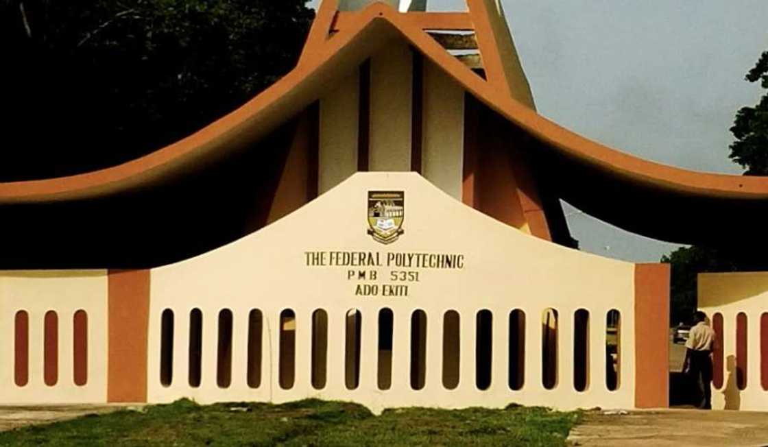 Federal Poly Ado entrance Federal Poly Ado entrance