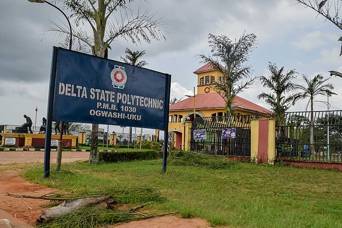 Delta State Polytechnic Ongwashi-UKU signpost outside the polytechnic Delta State Polytechnic Ongwashi-UKU signpost outside the polytechnic