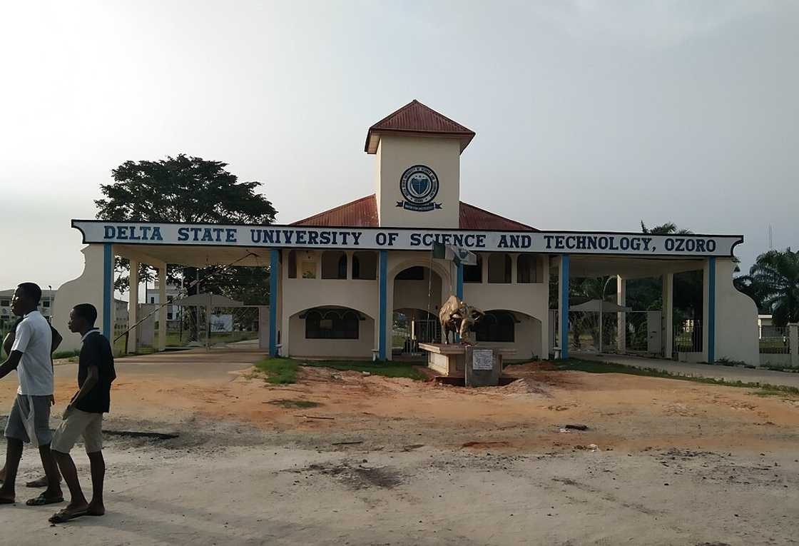 Two young men walking past Delta State Polytechnic, Ozoro Two young men walking past Delta State Polytechnic, Ozoro