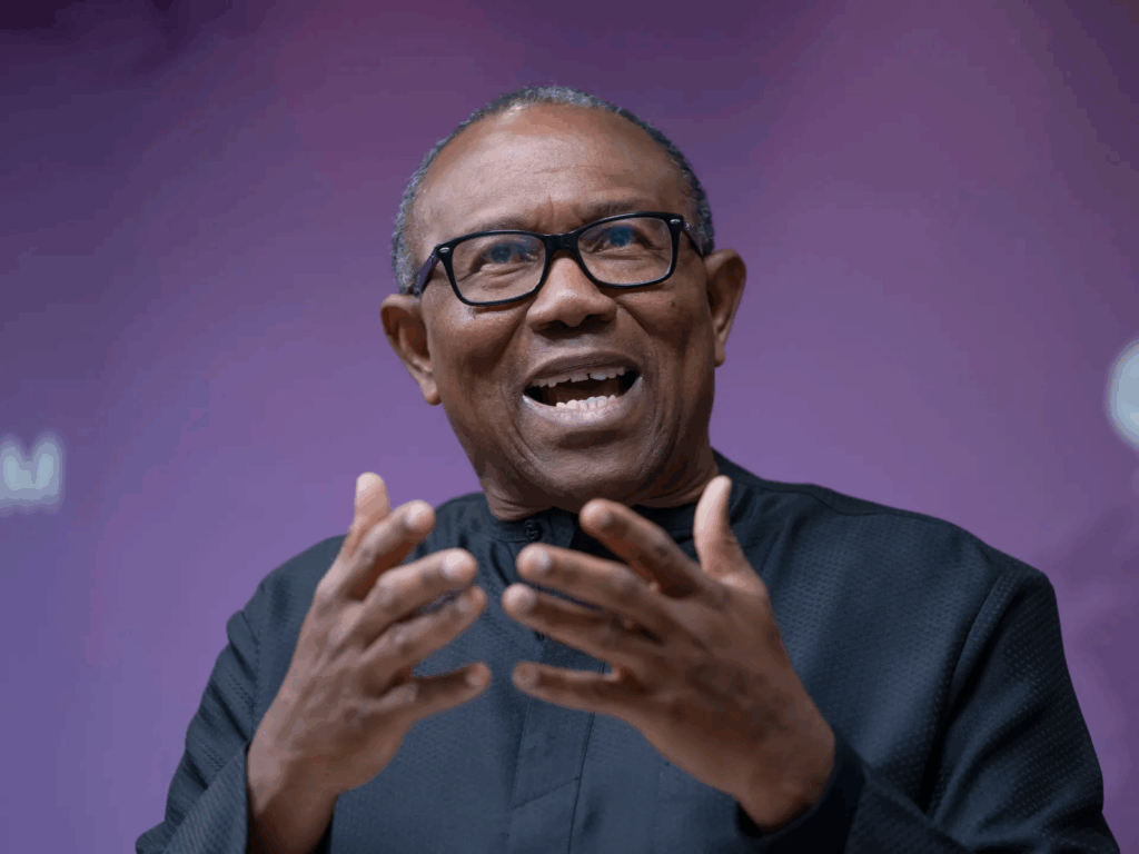North can transform Nigeria, says Peter Obi
