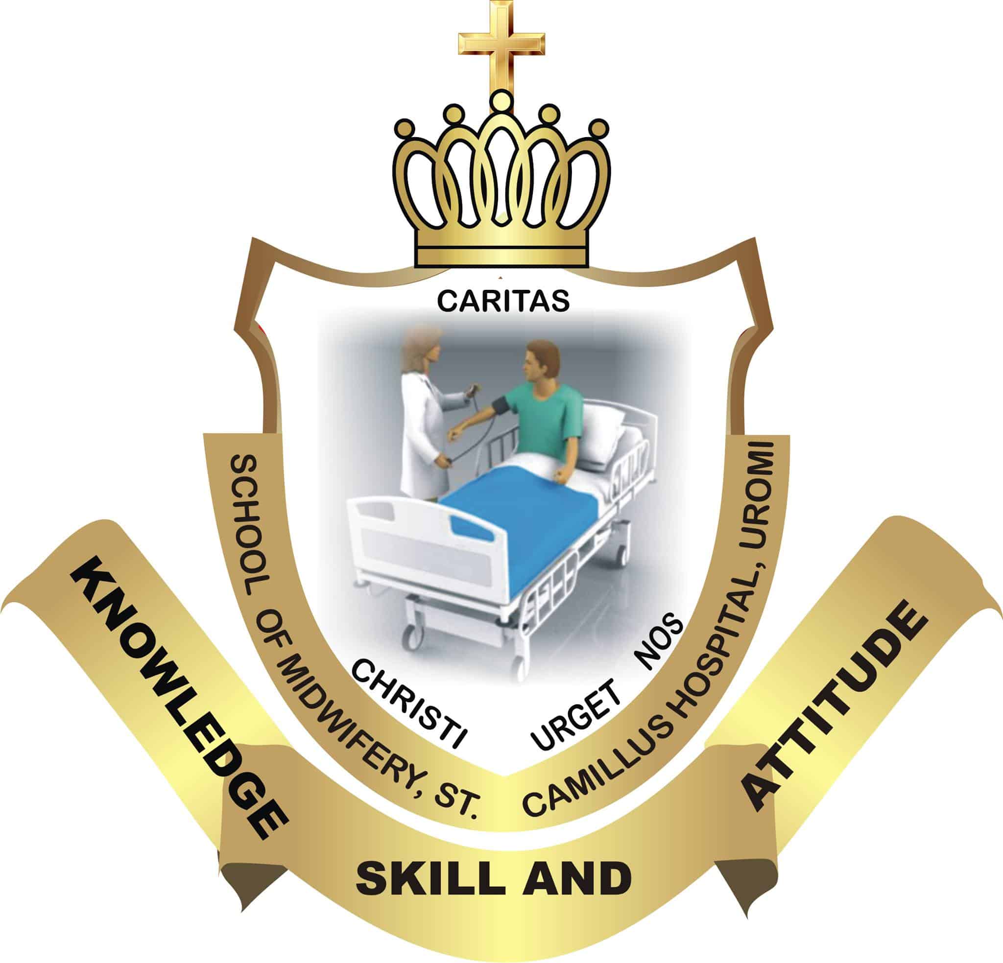 School of Midwifery St. Camillus Hospital Uromi 1