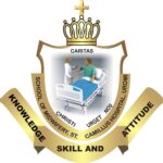School of Midwifery St. Camillus Hospital Uromi
