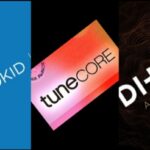 Distrokid, Tunecore and Ditto: How Much they Pay You While Listen to Music