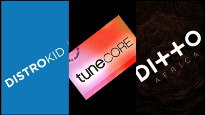 Distrokid, Tunecore and Ditto: How Much they Pay You While Listen to Music 27 Distrokid Tunecore Dittomusic