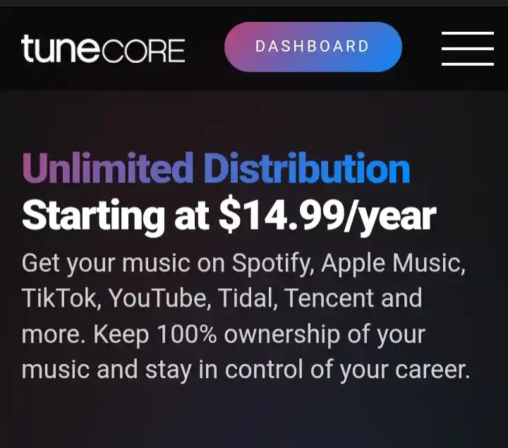 Distrokid, Tunecore and Ditto: How Much they Pay You While Listen to Music 31 Screenshot 20231122
