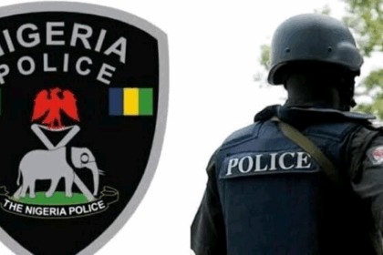 The Nigeria Police Force 3