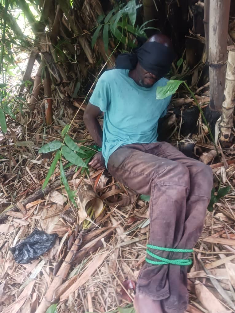 New crime tactic alarms Imo residents as victim survives suspected kidnap for organ harvest