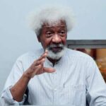 Investigate the deaths of Kudirat Abiola, Bola Ige, Dele Giwa – Soyinka Tells Tinubu